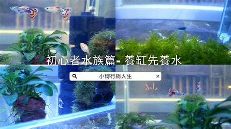 養魚先養水|養魚先養水 魚缸養水準備及步驟 